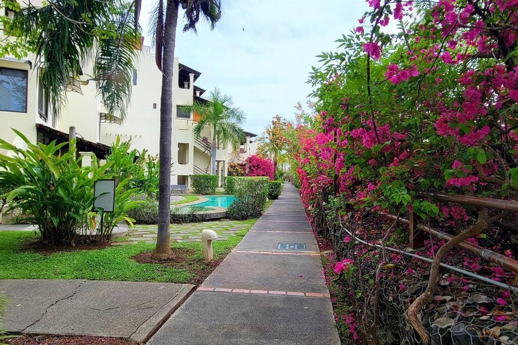 Amazing Oceanview Rooftop Terrace Walk To Beach Coco Exterior photo